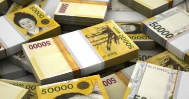 Yeni Güney Kore Wonyığını (sorunsuz)