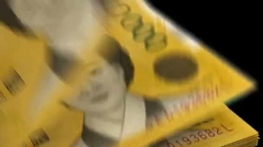 Güney Kore Won'u Sayma (alfa kanallı)