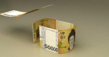 Güney Kore Wonlu Emlak Animasyonu