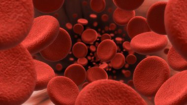 Blood cells flow Close-up