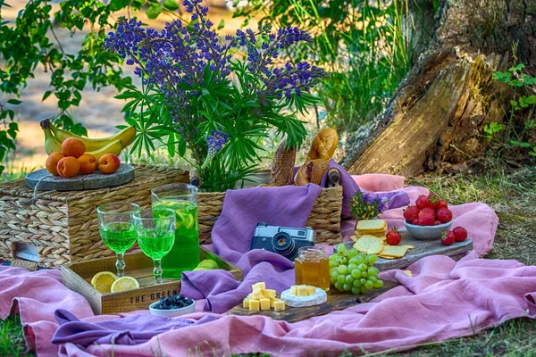 Уютный пикник с фруктами и овощами в лесу у реки яркие розовые зеленые цвета — стоковое фото