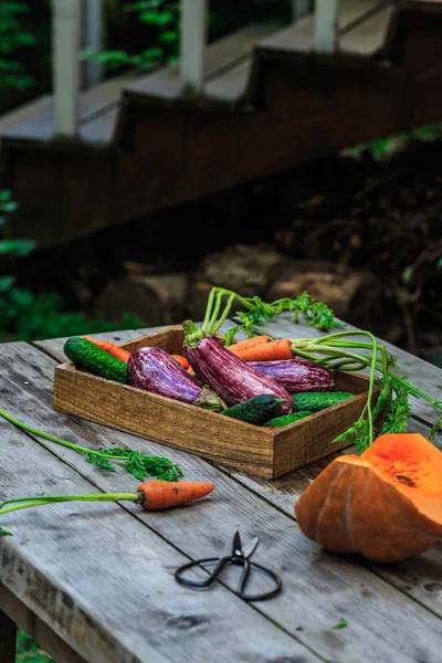 Group of Colorful vegetables on a basket. Garden wooden table. — Stock Photo, Image