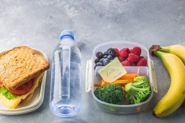 Sandviç ve gri arka plan üzerinde farklı ürünleri ile beslenme çantaları