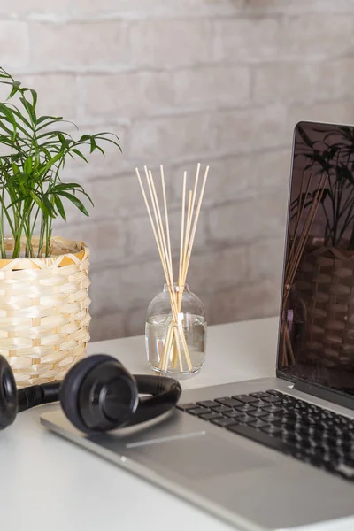 Nature morte de l'ordinateur portable avec écouteurs et plante d'intérieur sur la table — Photo