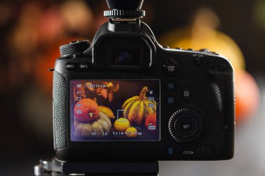 Balkabaklarıyla sonbahar sakin bir hayat. Stüdyo fotoğrafı. Fotoğraf makinesi ekranında.