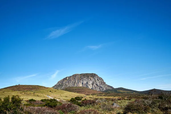 Camino Hasta Montaña Hallasan Jejuisland Corea Del Sur — Foto de Stock