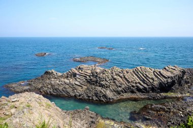 Tek sıra halinde ortak Gyeongju, Güney Kore.