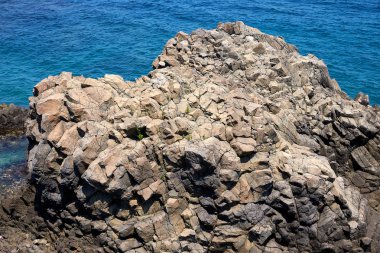 Tek sıra halinde ortak Gyeongju, Güney Kore.