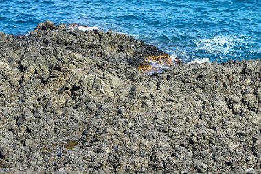 Tek sıra halinde ortak Gyeongju, Güney Kore.
