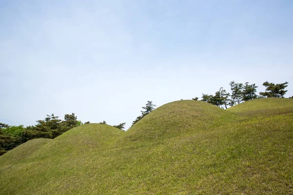 Kral Muryeong Kore Gongju City Royal Türbesi