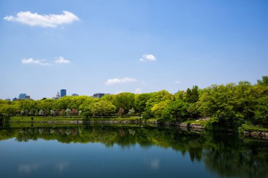 Japonya'nın Osaka Kalesi manzarası.