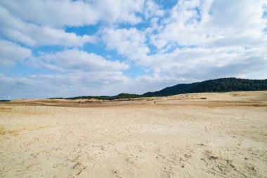 Sindu-ri kıyı dune Kore.    