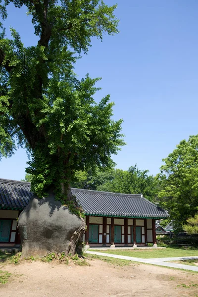 Jeonju Hyanggyo Una Escuela Dinastía Joseon — Foto de Stock