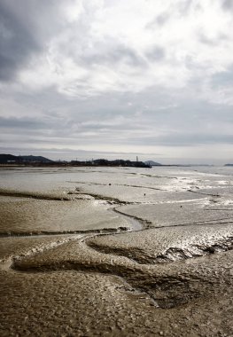 Çamur flats Daebudo Kore üzerinde filme alındı.