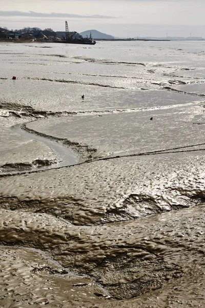 泥干潟は 韓国大阜で撮影されました — ストック写真
