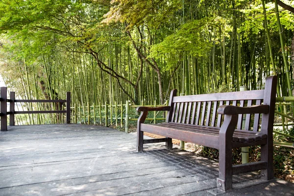 Bosques Bambú Jinju Corea — Foto de Stock