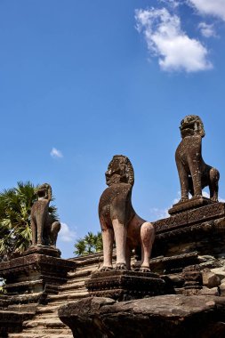 Kamboçya Angkor Wat tarihi sitedeki.