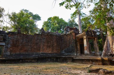 Kamboçya Ta Prohm tarihi site.