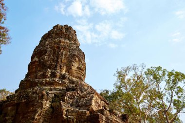 Kamboçya Ta Prohm tarihi site.
