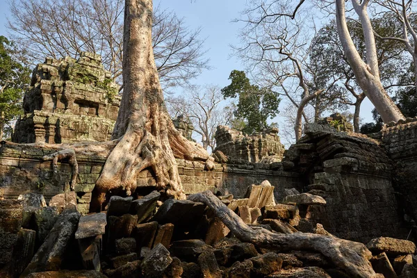 Prohm Historic Site Cambodia — Stock Photo, Image