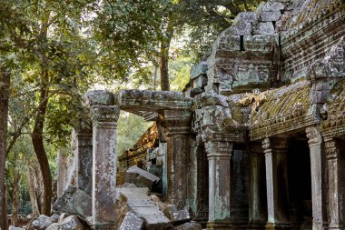 Kamboçya Ta Prohm tarihi site.