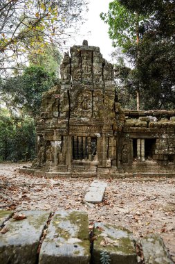 Kamboçya Ta Prohm tarihi site.