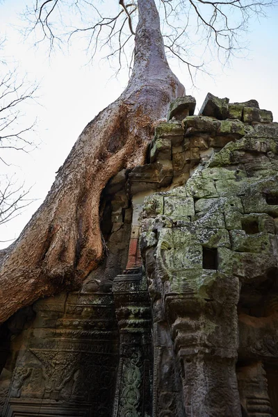 柬埔寨的塔普罗姆历史遗迹 — 图库照片