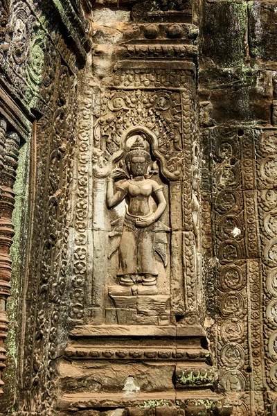 Kamboçya Ta Prohm tarihi site.
