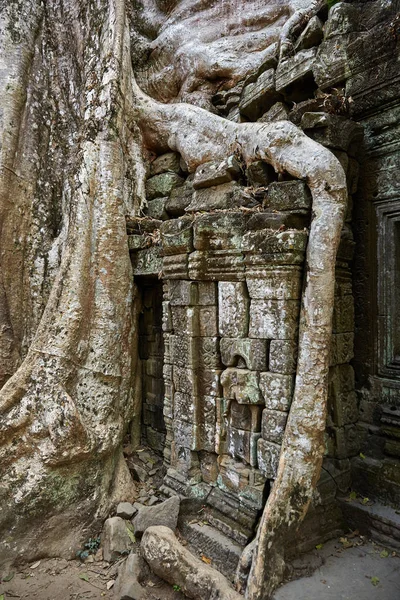 Prohm Historic Site Cambodja — Stockfoto