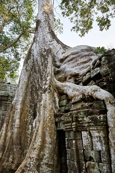 캄보디아의 유적지 — 스톡 사진