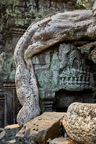 Prohm Ιστορική Τοποθεσία Στην Καμπότζη — Φωτογραφία Αρχείου