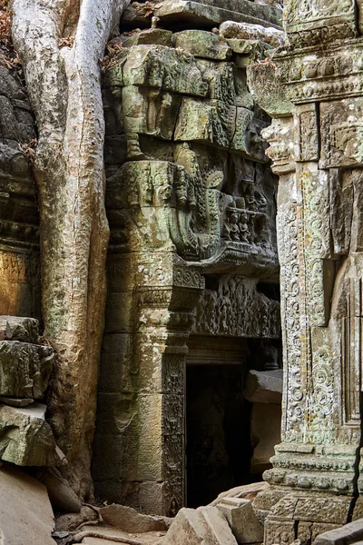 Prohm Historic Site Cambodia — Stock Photo, Image