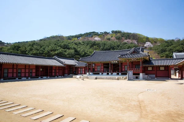 Fortaleza Suwon Hwaseong Muro Fortaleza Durante Dinastía Joseon Patrimonio Humanidad — Foto de Stock