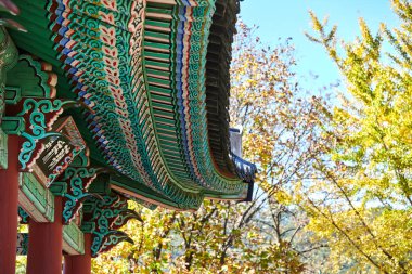 Sığır. Yapraklar ve sığır eti.