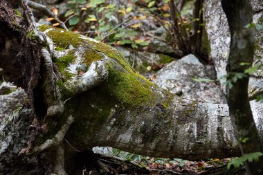 Kore'de ünlü Seoraksan çeşitli sahne.