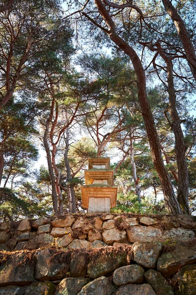 Trzypiętrowa Kamienna Pagoda Gyeongju — Zdjęcie stockowe