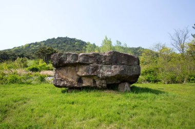 Dolmen in Gochang County, Kore.