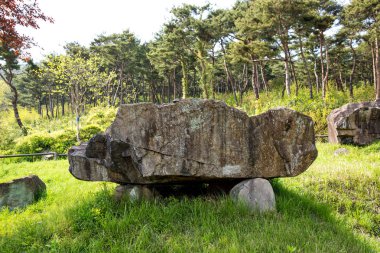 Dolmen in Gochang County, Kore.