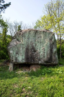 Dolmen in Gochang County, Kore.
