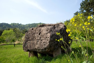 Dolmen in Gochang County, Kore.