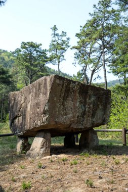 Dolmen in Gochang County, Kore.