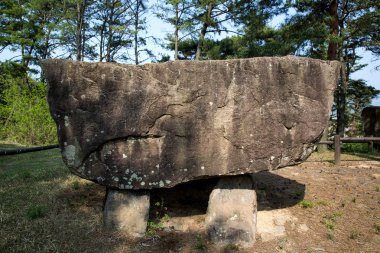 Dolmen in Gochang County, Kore.