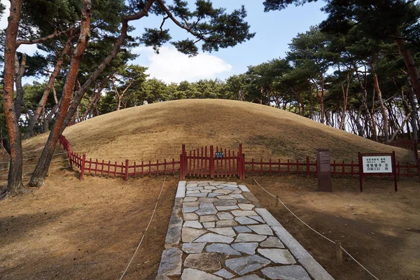 Seonjeongneung Tumbas Reales Dinastía Joseon Ubicadas Gangnam Corea — Foto de Stock