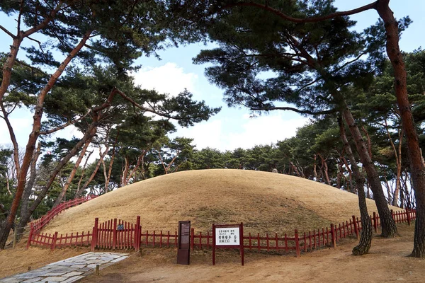 Seonjeongneung Tumbas Reales Dinastía Joseon Ubicadas Gangnam Corea — Foto de Stock