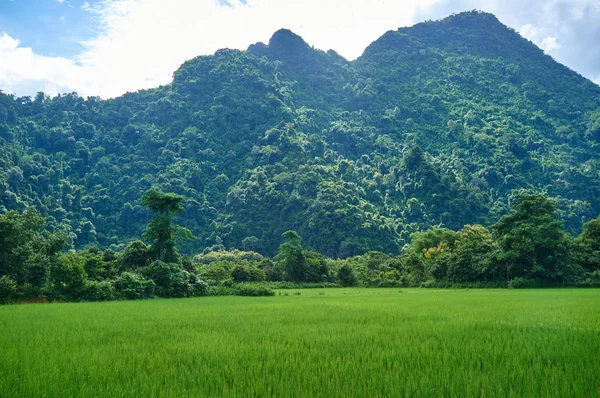 老挝万象的各种景观 — 图库照片