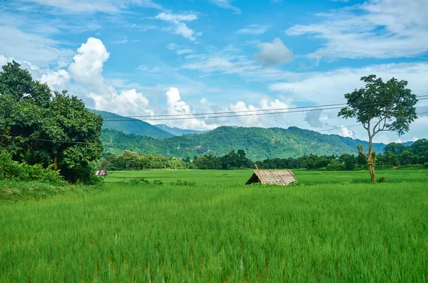 Różne Krajobrazy Wientian Laos — Zdjęcie stockowe