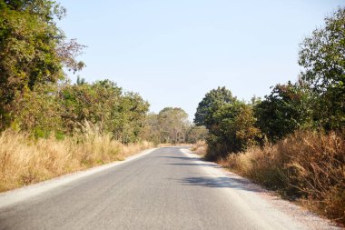 Kamboçya'da bir yol