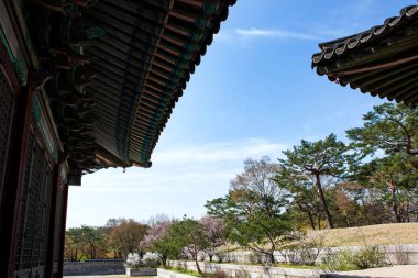 Changgyeonggung, Joseon Hanedanı 'nın sarayıdır..