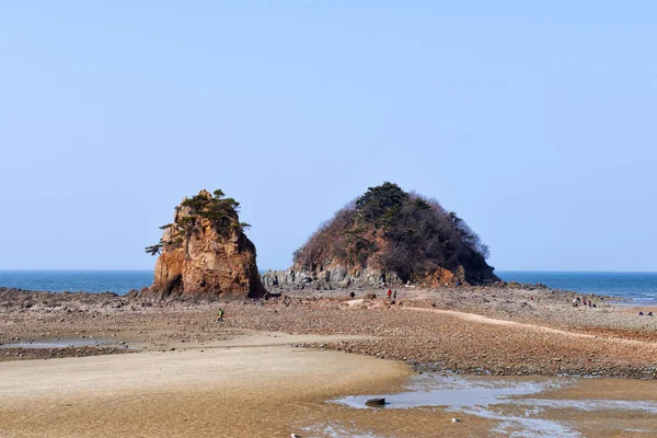 Pantai Kkotji Adalah Tempat Yang Terkenal Untuk Perjalanan Korea — Stok Foto