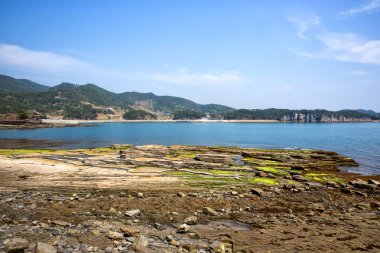 Güney Kore 'nin Goseong İlçesi' ndeki Sangjogam İlçe Parkı 'nda dinozor ayak izi ve tortulu kayalar..